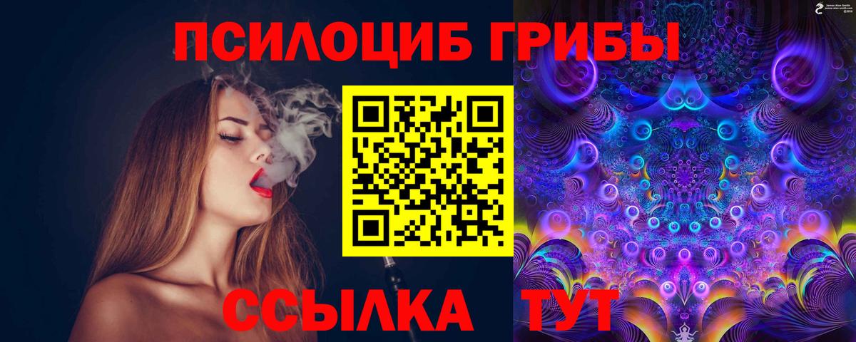 Псилоцибиновые грибы мицелий Куйбышев
