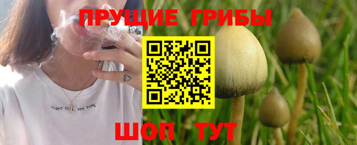 Меф кристаллы  Марихуана  Вход с VPN  Куйбышев  ГАШИШ  ГАШ 